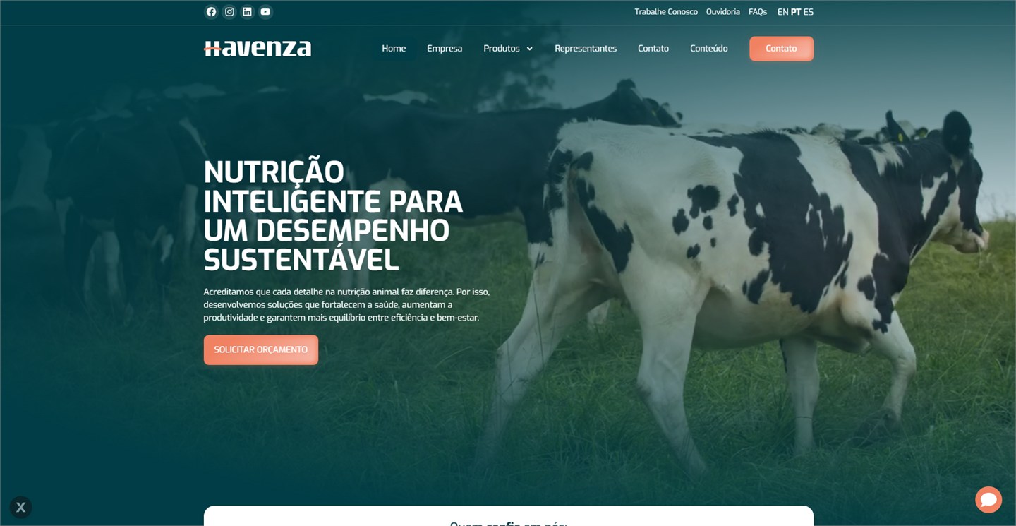 Havenza — Experiência desktop