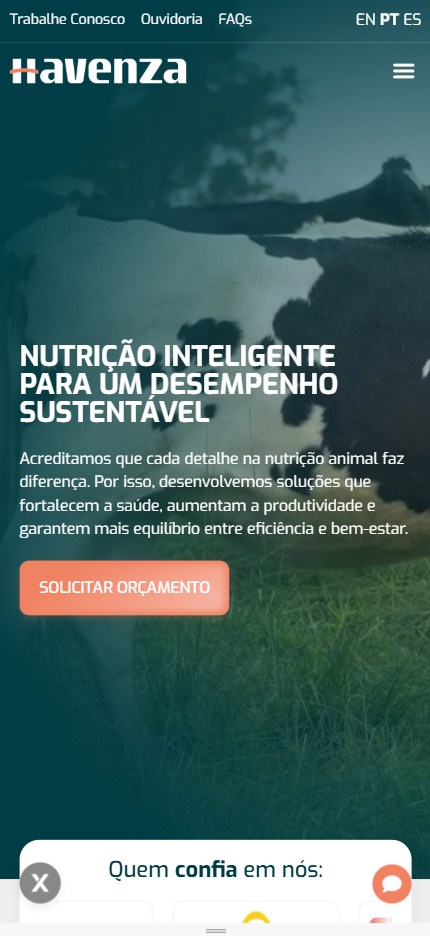 Havenza — Experiência mobile