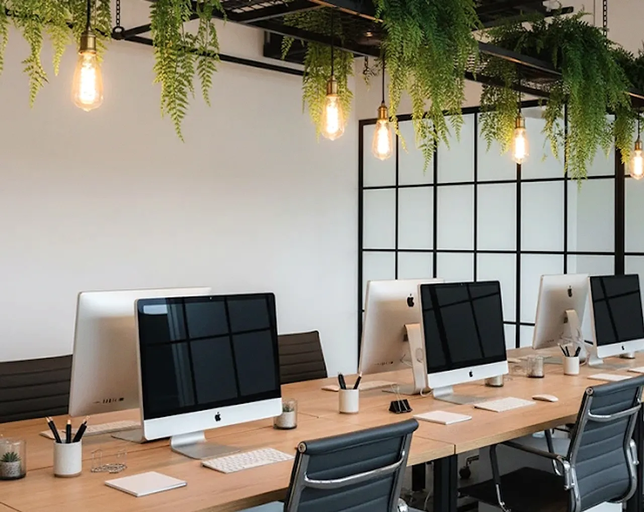 Workstations with computers and hanging plants